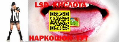 mdpv Лесосибирск