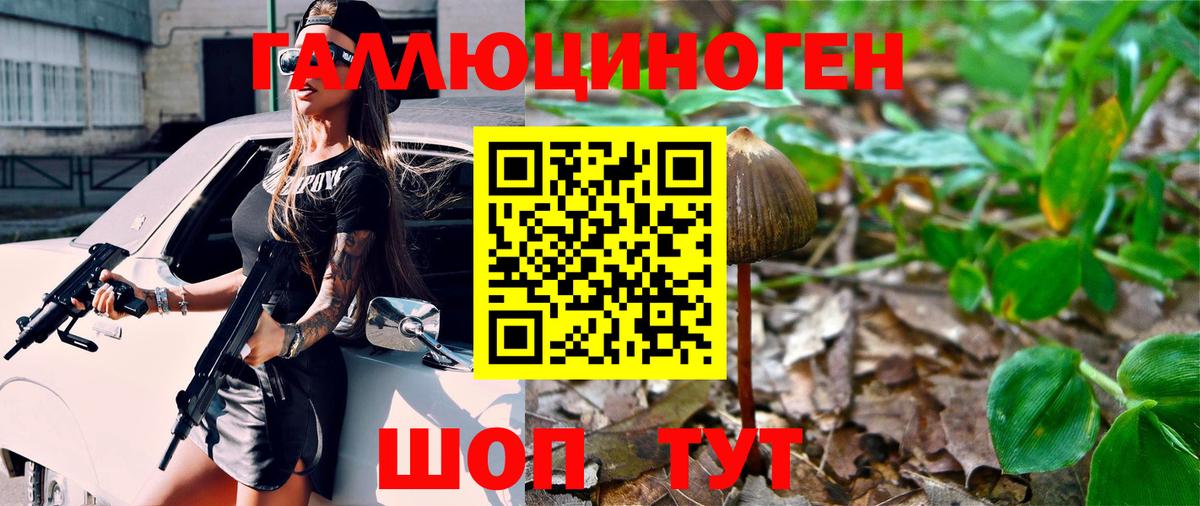 Галлюциногенные грибы Cubensis Дербент