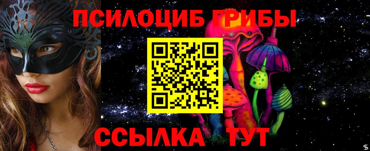 Дербент  Галлюциногенные грибы прущие грибы  что такое   Вход с VPN 